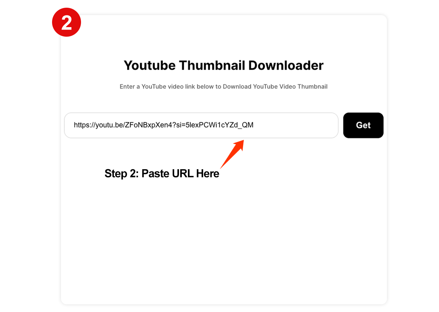 Paste URL into downloader